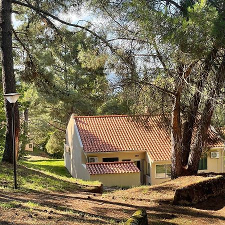 הוילה טורה דה מונקורבו Bel Douro מראה חיצוני תמונה