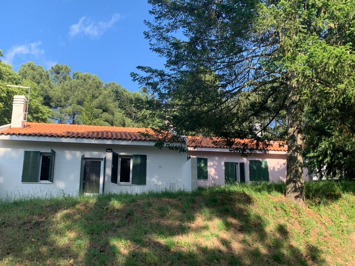 הוילה טורה דה מונקורבו Bel Douro מראה חיצוני תמונה